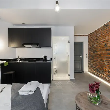 Level -1 Loft Center By Renters Apartment *