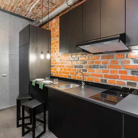 Level -1 Loft Center By Renters * Poznan