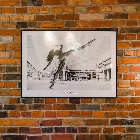 Level -1 Loft Center By Renters * Poznan