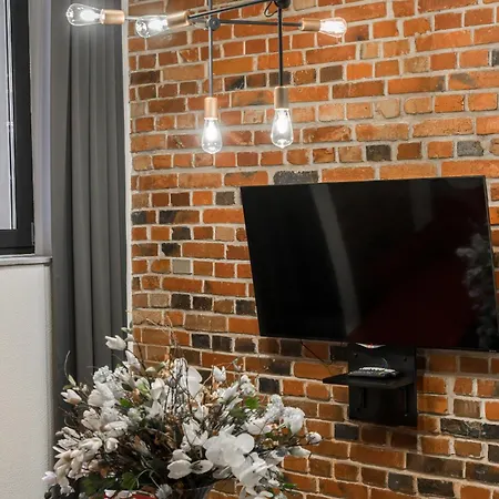 Appartamento Level -1 Loft Center By Renters *