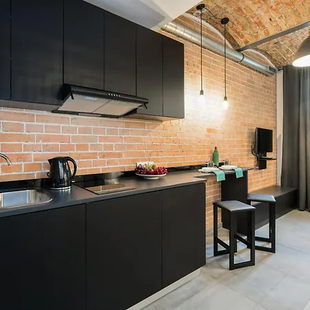 Level -1 Loft Center By Renters Apartment